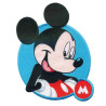 Exclusive Disney Big Motif Bundle